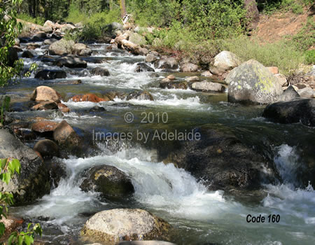 Herring Creek